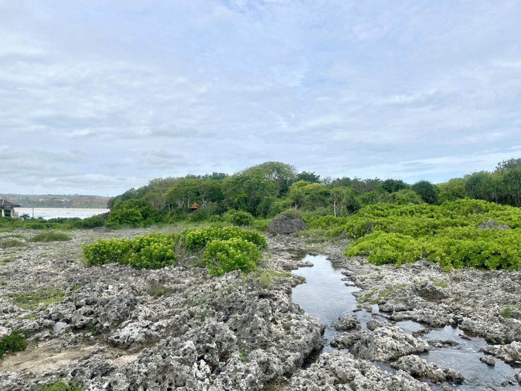 Nusa dua water blow